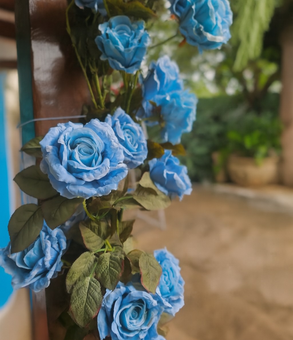 Equipe Zezinho & Marcele Decorações